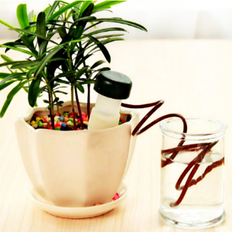 Automatic Watering Kit Plant