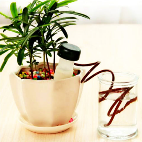 Automatic Watering Kit Plant