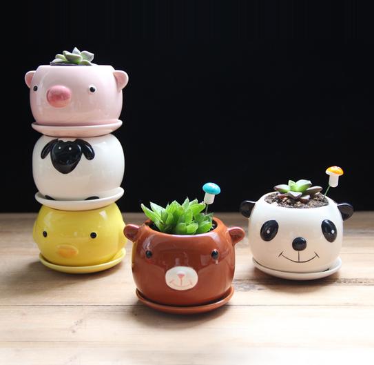 Cute Mixed Design Bonsai Pot