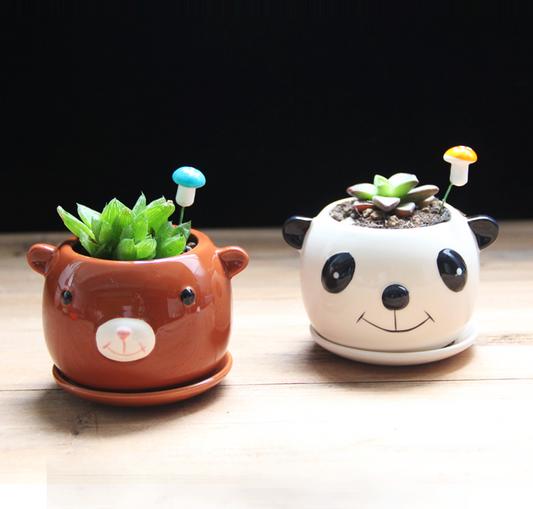 Cute Mixed Design Bonsai Pot