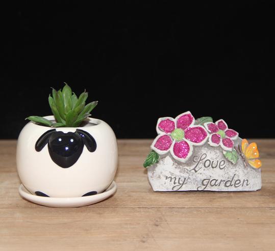 Cute Mixed Design Bonsai Pot