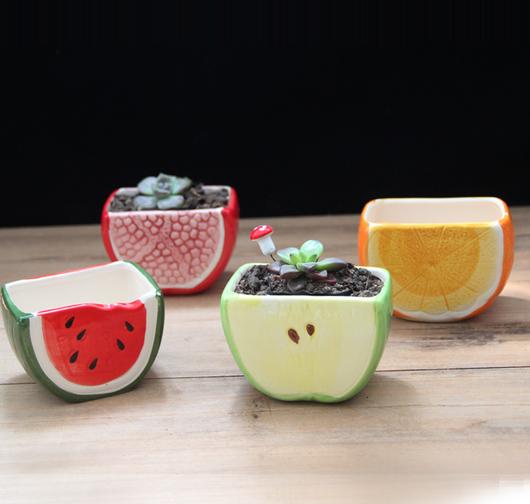 Cute Mixed Design Bonsai Pot