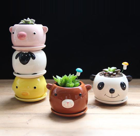 Cute Mixed Design Bonsai Pot