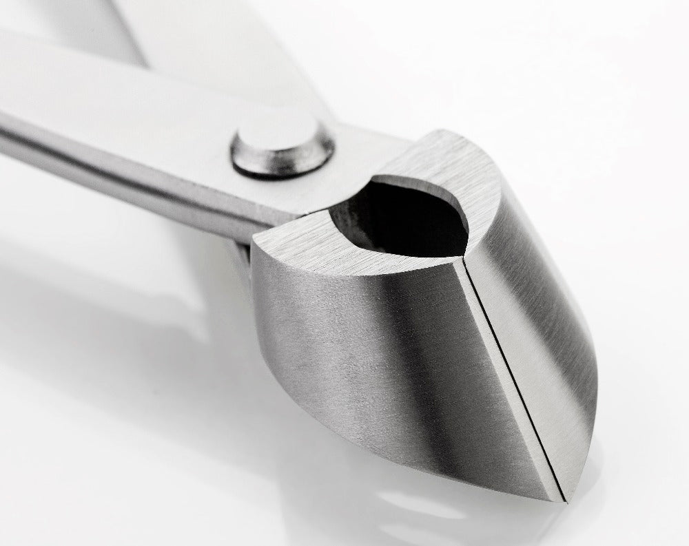 Long Handle Bonsai Tools