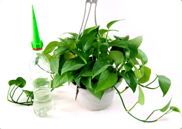 Automatic Plant Bottle Waterer