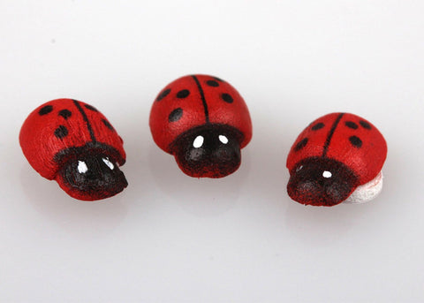 Creative Glass Geometric Bonsai Terrarium