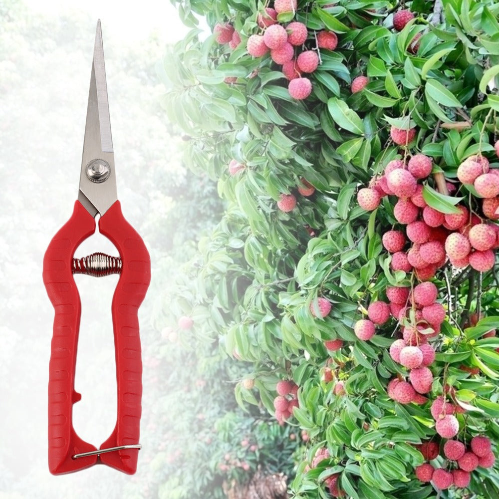 Plant Pruning Long Scissors