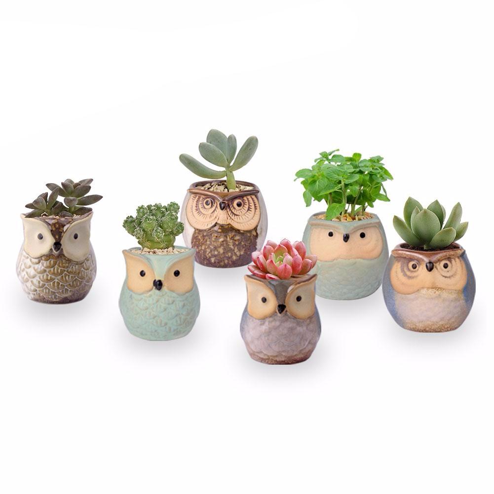 Lovely Mini Owl Ceramic Bonsai Pot