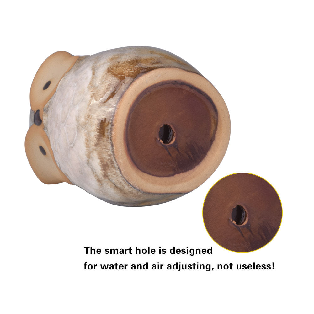 Lovely Mini Owl Ceramic Bonsai Pot