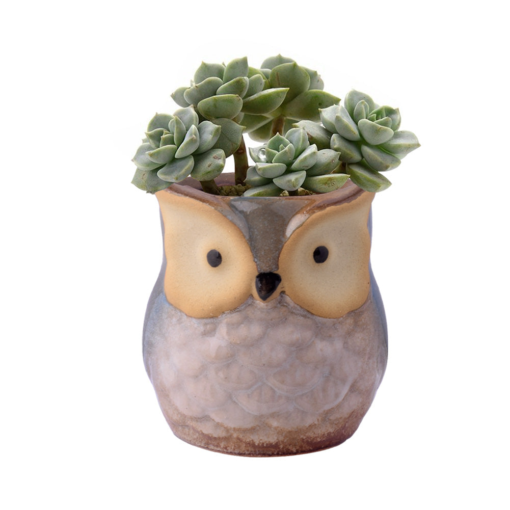 Lovely Mini Owl Ceramic Bonsai Pot