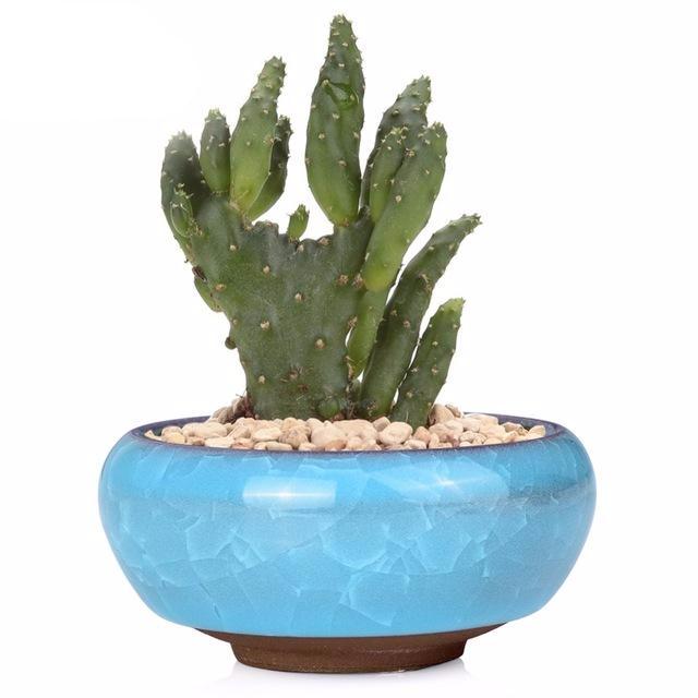 Mini Ceramic Bonsai Pots