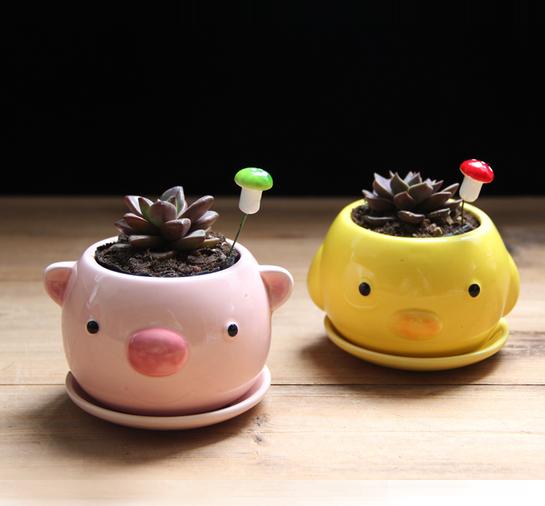 Cute Mixed Design Bonsai Pot