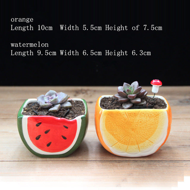 Cute Mixed Design Bonsai Pot