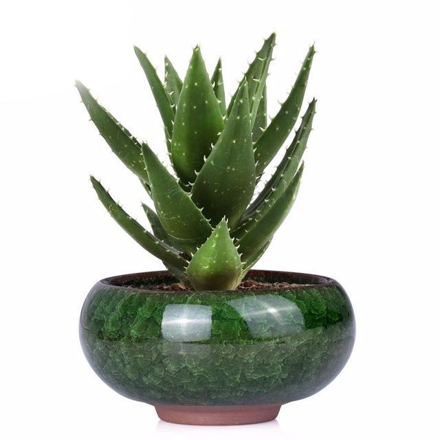 Mini Ceramic Bonsai Pots