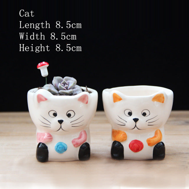 Cute Mixed Design Bonsai Pot