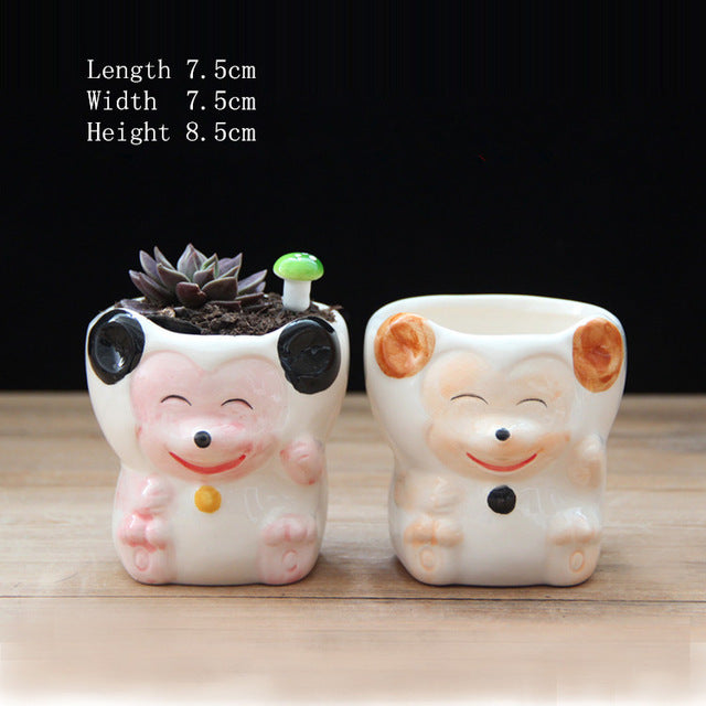 Cute Mixed Design Bonsai Pot