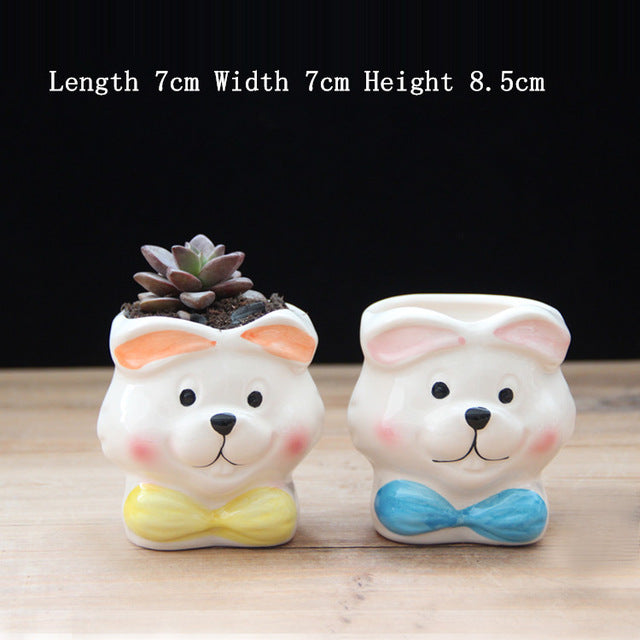 Cute Mixed Design Bonsai Pot