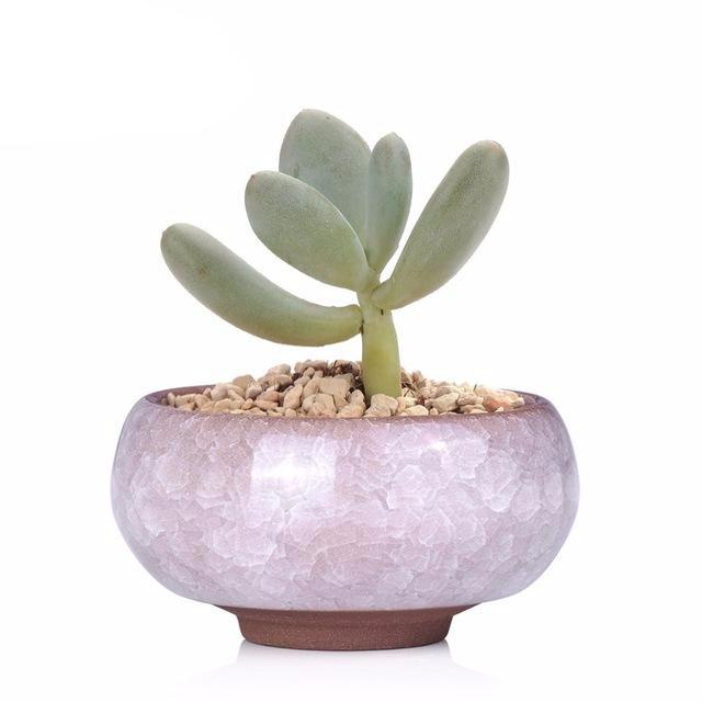 Mini Ceramic Bonsai Pots