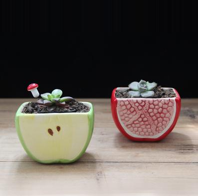 Cute Mixed Design Bonsai Pot