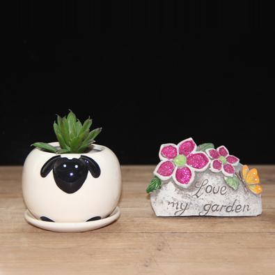 Cute Mixed Design Bonsai Pot