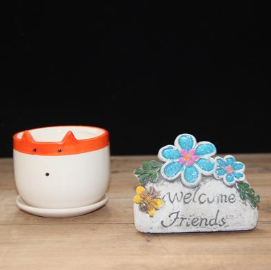 Cute Mixed Design Bonsai Pot