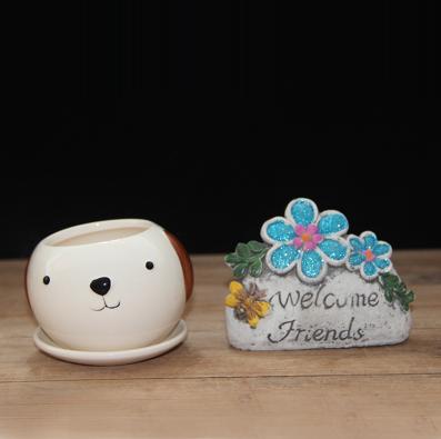 Cute Mixed Design Bonsai Pot