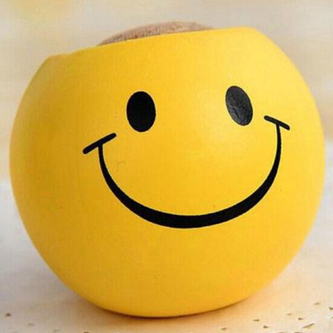 Mini Ceramic Emoji Series Pot