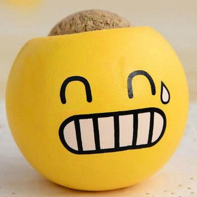 Mini Ceramic Emoji Series Pot