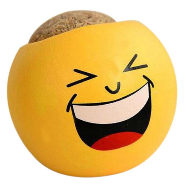 Mini Ceramic Emoji Series Pot